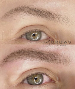 Nanoblading Brows by Moura